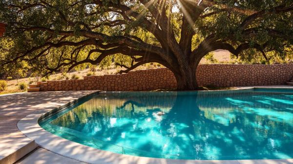 5 étapes pour concrétiser votre piscine coque en gironde