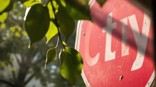 Les meilleures options de serruriers à Charleroi pour un service urgent