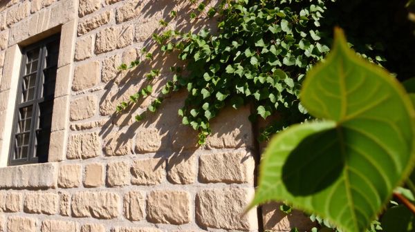 Les meilleures techniques pour ravalement à Orléans